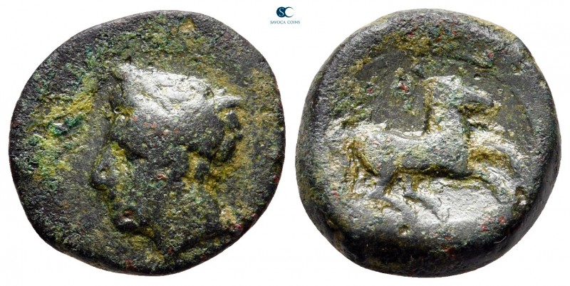 Sicily. Carthaginian Domain circa 375-350 BC. 
Bronze Æ

17 mm., 3,47 g.

...