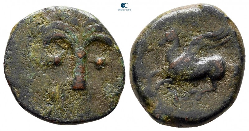 Sicily. Carthaginian Domain circa 330-320 BC. 
Bronze Æ

16 mm., 2,79 g.

...