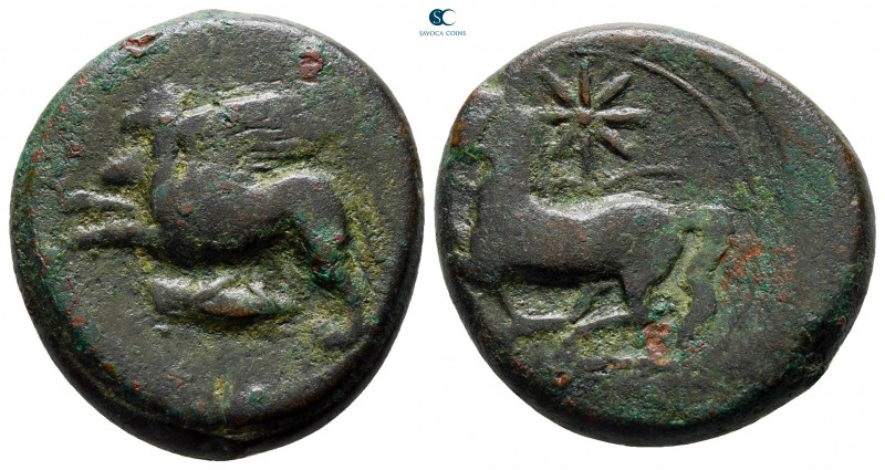 Sicily. Kainon circa 360-340 BC. 
Bronze Æ

23 mm., 9,12 g.



very fine