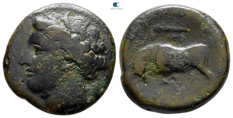 Sicily. Syracuse. Hieron II 275-215 BC. 
Bronze Æ

20 mm., 5,86 g.



nea...