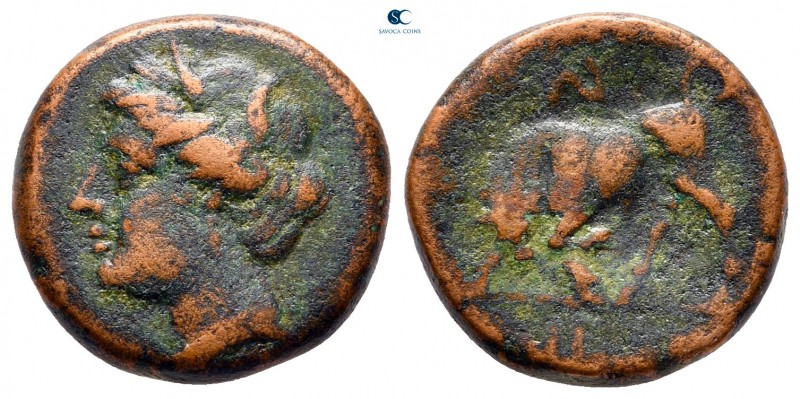 Sicily. Syracuse. Hieron II 275-215 BC. 
Bronze Æ

16 mm., 4,29 g.



ver...