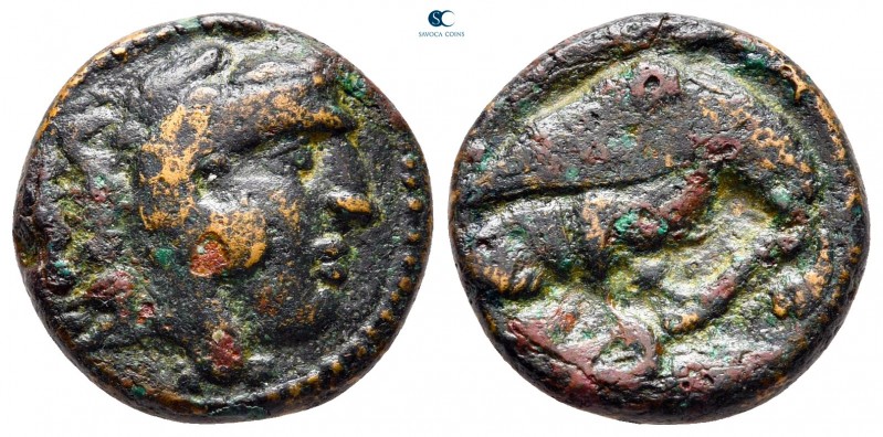 Kings of Macedon. Uncertain mint. Amyntas III 393-369 BC. 
Bronze Æ

17 mm., ...