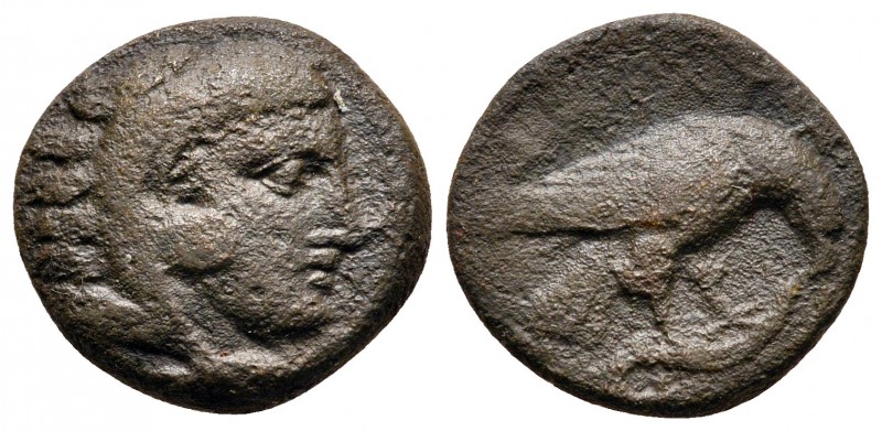 Kings of Macedon. Uncertain mint. Amyntas III 393-369 BC. 
Bronze Æ

15 mm., ...