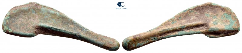 Scythia. Olbia circa 525-350 BC. 
Cast dolphin Æ

32 mm., 1,83 g.



very...