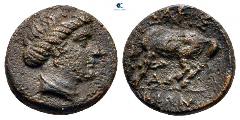 Thessaly. Larissa circa 380-337 BC. 
Chalkous Æ

12 mm., 1,75 g.



nearl...