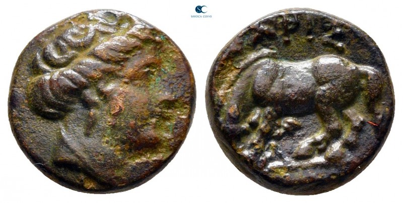 Thessaly. Larissa circa 344-337 BC. 
Chalkous Æ

12 mm., 2,03 g.



very ...