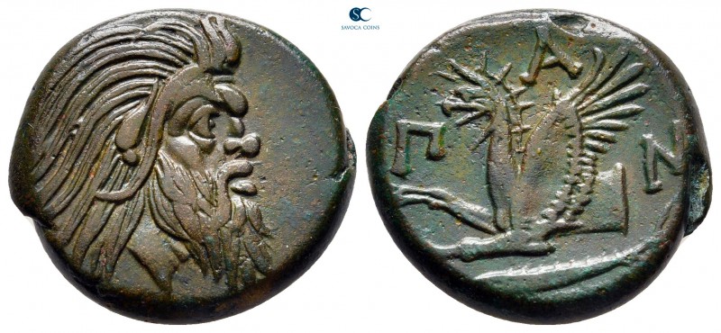 Cimmerian Bosporos. Pantikapaion circa 310-304 BC. 
Bronze Æ

21 mm., 7,30 g....