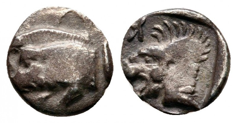 Mysia. Kyzikos circa 525-475 BC. 
Hemiobol AR

8 mm., 0,48 g.



very fin...