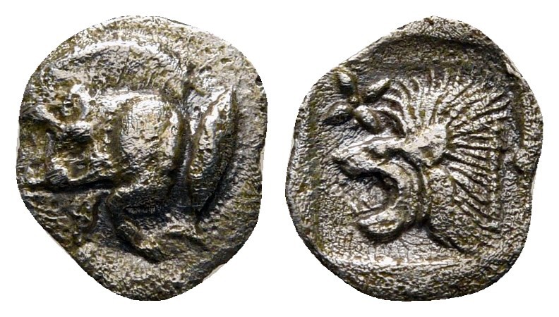 Mysia. Kyzikos circa 525-475 BC. 
Hemiobol AR

7 mm., 0,35 g.



very fin...