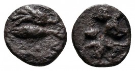 Mysia. Kyzikos circa 520-480 BC. Hemiobol AR
