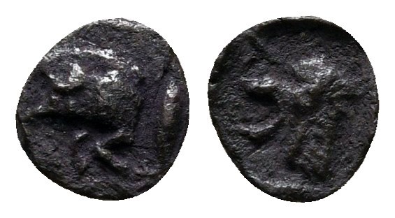 Mysia. Kyzikos circa 480-400 BC. 
Tetartemorion AR

5 mm., 0,08 g.



nea...