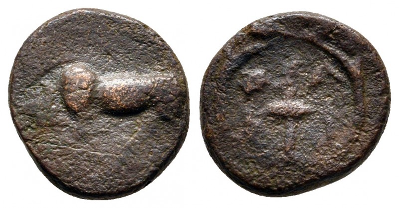 Mysia. Parion circa 350-300 BC. 
Bronze Æ

12 mm., 1,63 g.



fine