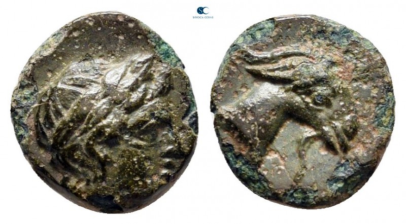 Aiolis. Aigai circa 400-300 BC. 
Bronze Æ

9 mm., 0,76 g.



very fine