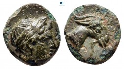 Aiolis. Aigai circa 400-300 BC. Bronze Æ