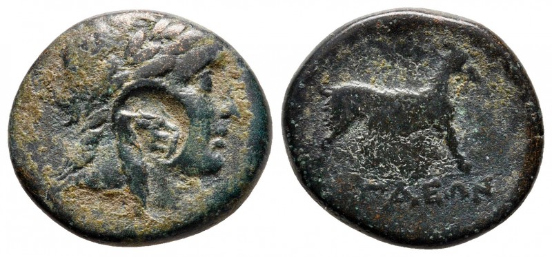 Aiolis. Aigai circa 300-200 BC. 
Bronze Æ

18 mm., 3,87 g.



nearly very...