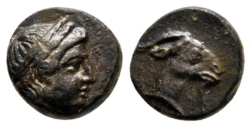 Aiolis. Aigai circa 300-200 BC. 
Bronze Æ

8 mm., 0,97 g.



nearly very ...
