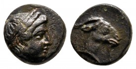 Aiolis. Aigai circa 300-200 BC. Bronze Æ