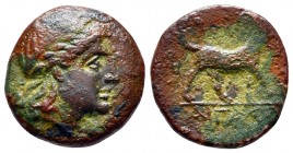 Aiolis. Aigai circa 200-0 BC. Bronze Æ