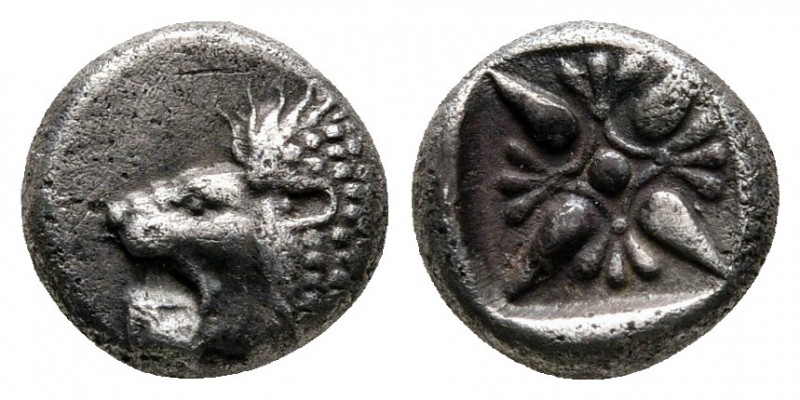 Ionia. Miletos circa 520-480 BC. 
Diobol AR

8 mm., 1,21 g.



very fine