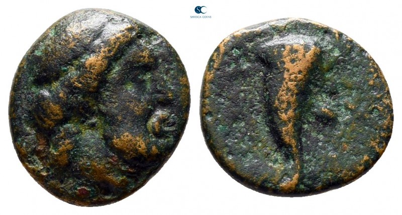 Caria. Myndos circa 400-300 BC. 
Bronze Æ

10 mm., 1,11 g.



nearly very...