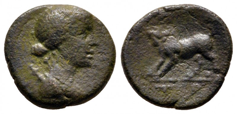 Pisidia. Termessos Major circa 100-30 BC. 
Bronze Æ

13 mm., 1,95 g.



v...