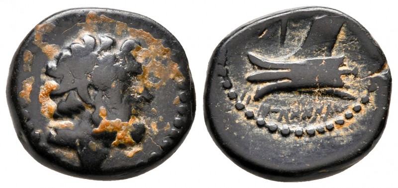 Phoenicia. Arados circa 206-126 BC. 
Bronze Æ

16 mm., 3,64 g.



nearly ...