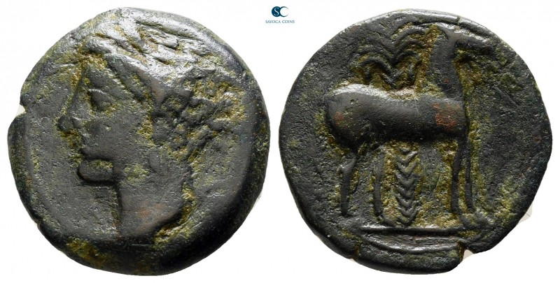 Zeugitana. Carthage circa 400-350 BC. 
Bronze Æ

17 mm., 2,64 g.



very ...