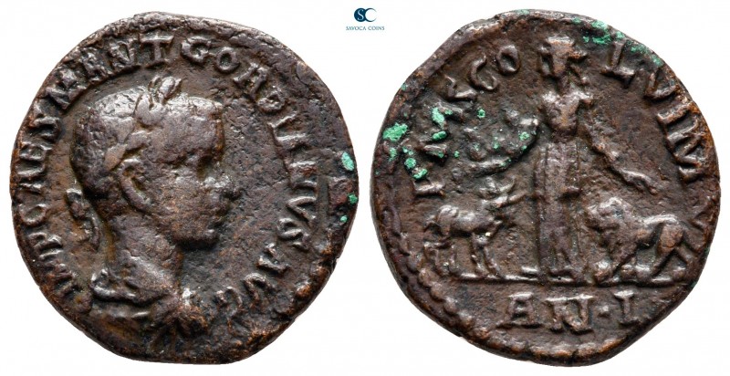Moesia Superior. Viminacium. Gordian III AD 238-244. 
Bronze Æ

21 mm., 4,12 ...