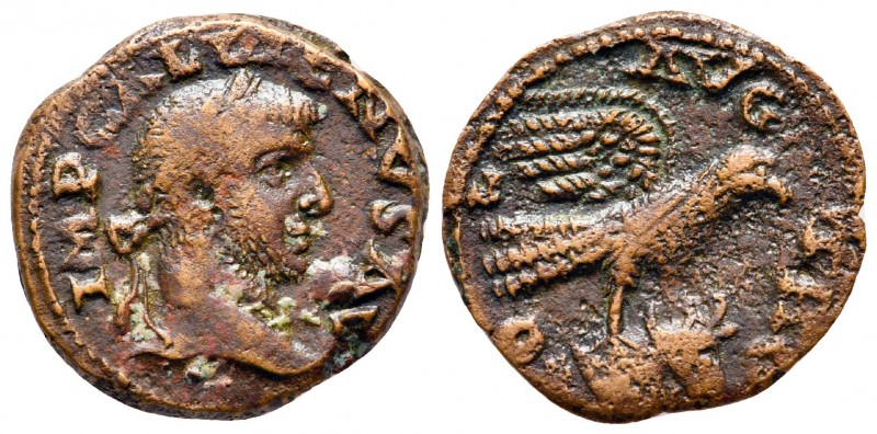 Troas. Alexandreia. Gallienus AD 253-268. 
Bronze Æ

21 mm., 4,71 g.



n...