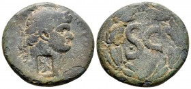 Seleucis and Pieria. Antioch. Domitianus AD 296-298. As Æ