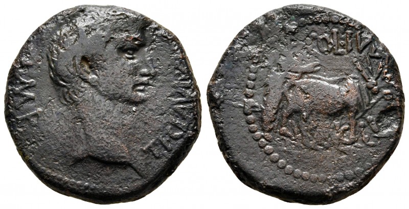 Phoenicia. Berytus. Claudius AD 41-54. 
Bronze Æ

25 mm., 12,08 g.



ver...