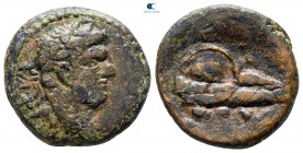 Judaea. Caesarea Panias (Caesarea Philippi). Domitian AD 81-96. Bronze Æ