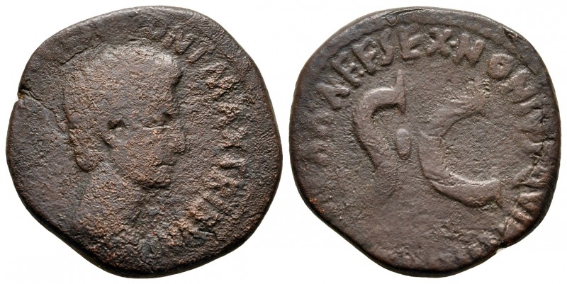 Augustus 27 BC-AD 14. Rome
As Æ

26 mm., 10,22 g.



very fine
