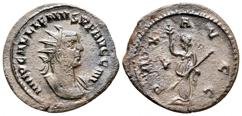 Gallienus AD 253-268. Rome
Antoninianus Æ

23 mm., 2,97 g.



very fine