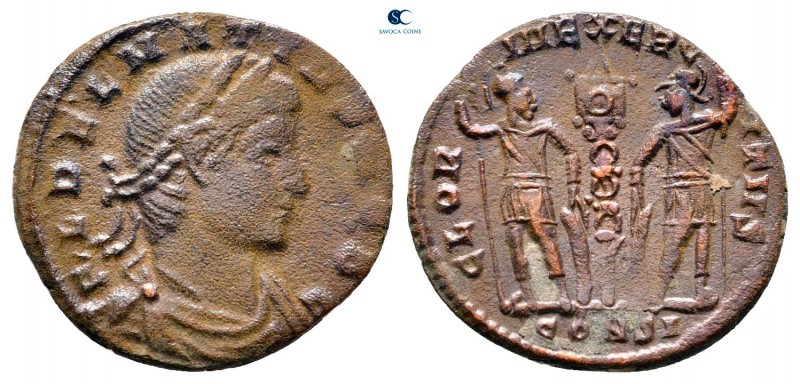 Delmatius, as Caesar AD 335-337. Constantinople
Follis Æ

15 mm., 1,62 g.

...