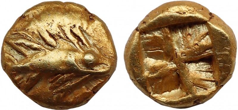 MYSIA. Kyzikos. EL 1/24 Stater (Circa 600-550 BC).
Obv: Tunny right.
Rev: Quadri...