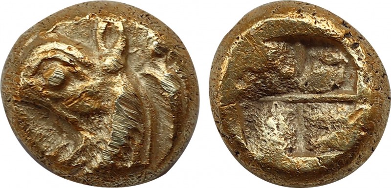 IONIA. Phokaia. EL 1/24 Stater (Circa 625/0-522 BC).
Obv: Head of griffin left;...