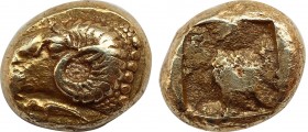 IONIA. Phokaia. EL Hekte (Circa 521-478 BC).
Obv: Head of ram left; below, small seal left.
Rev: Quadripartite incuse square.
Bodenstedt 37; Boston MF...