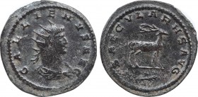 GALLIENUS (253-268). Antoninianus. Antioch.
Obv: GALLIENVS AVG.
Radiate and cuirassed bust right.
Rev: SAECVLARHS AVG.
Stag standing right; below, pal...
