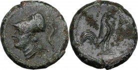 Greek Italy. Samnium, Southern Latium and Northern Campania, Cales. AE 19 mm, 265-240 BC. Head of Athena left, helmeted. / Rooster standing right; beh...