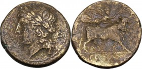 Greek Italy. Samnium, Southern Latium and Northern Campania, Suessa Aurunca. AE 21 mm. Circa 270-240 BC. Laureate head of Apollo left; O to right. / A...