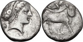Greek Italy. Central and Southern Campania, Neapolis. AR Didrachm, circa 320-300 BC. Head of female right; grape bunch behind neck, [ΔIOΦANOYΣ below]....