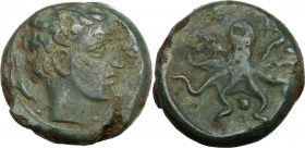Sicily. Syracuse. Second Democracy (466-405 BC). AE 15 mm, after 425 BC. Female head right; behind, two dolphins. / Octopus; between tentacles, three ...