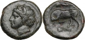 Sicily. Syracuse. Agathokles (317-289 BC). AE 24 mm. Head of Kore left, wearing wreath; behind, torch. / Bull butting left; above and below, dolphin. ...