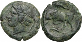 Sicily. Syracuse. Agathokles (317-289 BC). AE 23 mm. Head of Kore left, wearing wreath; behind, torch. / Bull butting left; above and below, dolphin. ...