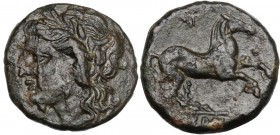 Sicily. Syracuse. Hieron II (274-216 BC). AE 16 mm. Head of Apollo left, laureate. / Horse prancing right. CNS II 203. AE. 3.74 g. 16.00 mm. About EF.