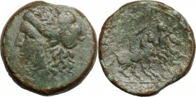 Sicily. Syracuse. Roman Rule. AE 23 mm, 214-212 BC. Head of Apollo left, laureate. / Dioscuri galloping right. CNS II 205; HGC 2 1453. AE. 11.91 g. 23...