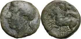 Sicily. Tyndaris. AE 19 mm, 254-212 BC. Female head left. / Dioscuri galloping left. CNS I 12; HGC 2 1634. AE. 7.30 g. 19.00 mm. R. A rare type. Olive...