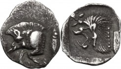 Greek Asia. Mysia, Kyzikos. AR Hemiobol, 5th century BC. Forepart of boar left; behind, tuna. / Head of lion left; above, star; all in incuse square. ...