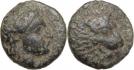 Greek Asia. Troas, Antandros. AE 11 mm, 440-400 BC. Head of Artemis Astyrene right. / Head of lion right. SNG Cop. 217. AE. 1.37 g. 11.00 mm. VF.
